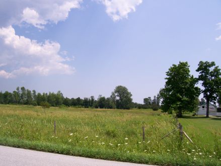 img_8
